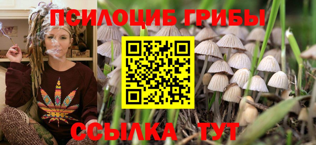 Псилоцибиновые грибы MAGIC MUSHROOMS Свободный