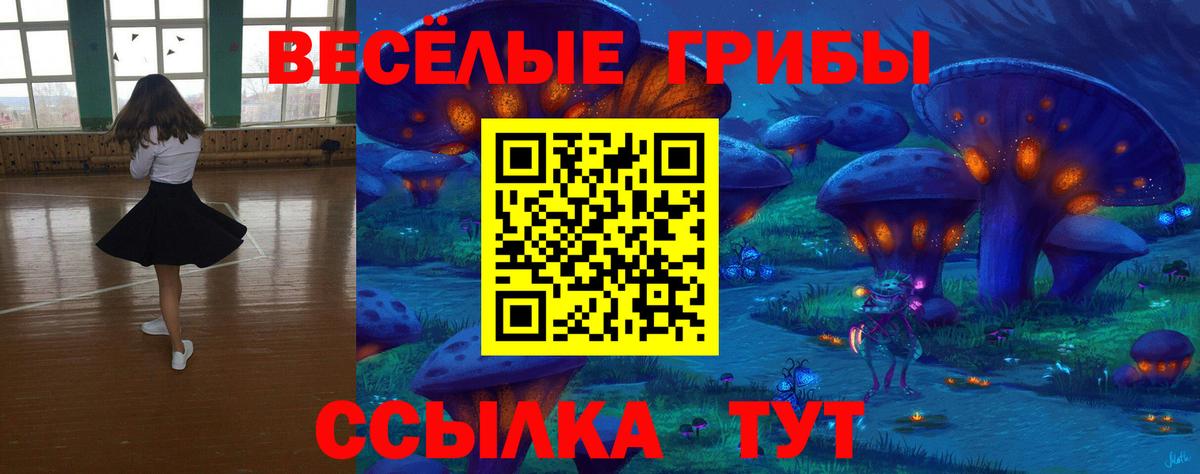Галлюциногенные грибы Magic Shrooms  Вход с VPN  Свободный 